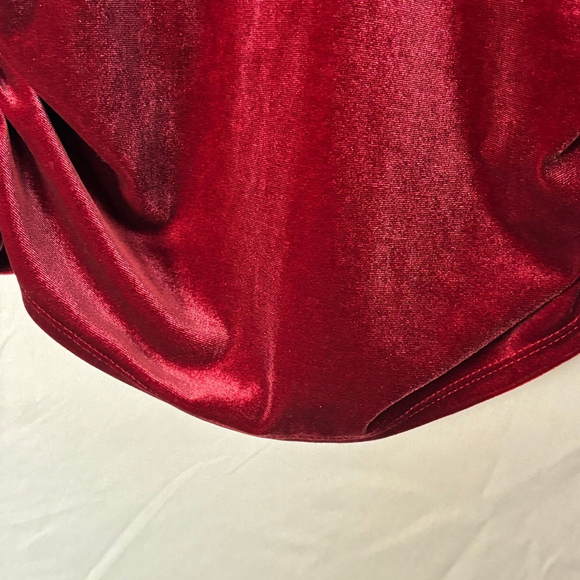 Burgundy Velvet Mesh Top Sheer Long Sleeve Y2K 2000s Goth Fairy Grunge NWT Med - Picture 4 of 9